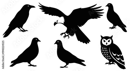 Diverse Bird Silhouettes Collection: Eagle, Owl, Crow, and Pigeons Vector Art