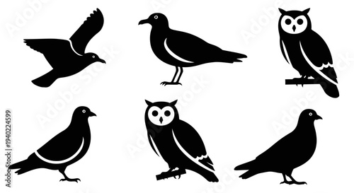 Diverse Bird Silhouettes Set: Owl, Pigeon, and Flying Birds Vector Icons Collection