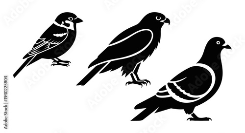 Diverse Black Bird Silhouettes Set: Sparrow, Hawk, and Pigeon Vector Icons