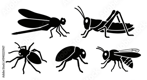 Diverse Insect Silhouettes Collection: Dragonfly, Grasshopper, Beetle, Wasp, and Spider Icons