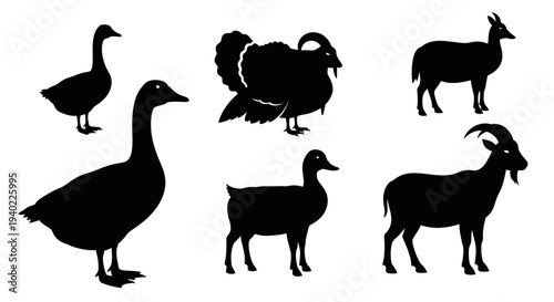 Domestic Farm Animals Silhouettes Collection: Geese, Turkey, and Goats Icons