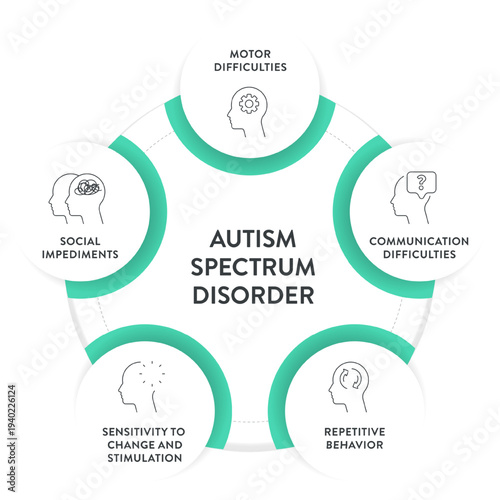 Autism Spectrum Disorder Infographic chart Vector. Motor, communication, repetitive behavior, sensitivity, and social impediments. Effective healthcare psychology presentation slide diagram template.