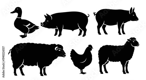 Farm Animals Silhouettes Collection: Duck, Pig, Sheep, and Chicken Livestock Icons