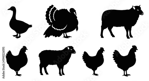 Farm Animals Silhouettes Collection: Goose, Turkey, Sheep, and Chickens