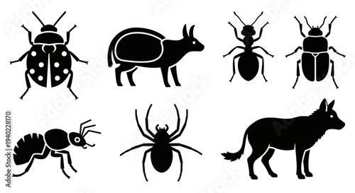 Insect and Animal Silhouettes Set: Collection of Wildlife Icons