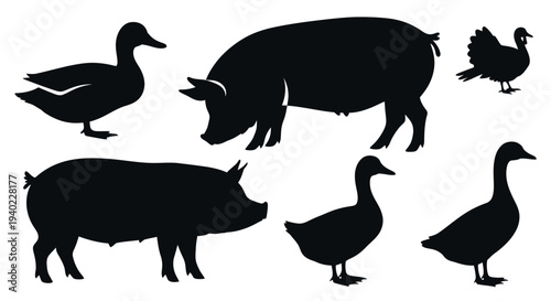Farm Animals Silhouettes Set: Pigs, Ducks, and Poultry Collection on White Background