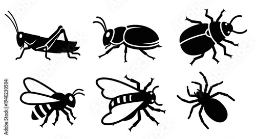Insect Silhouettes Collection: Grasshopper, Beetles, Bees, and Spider Icons