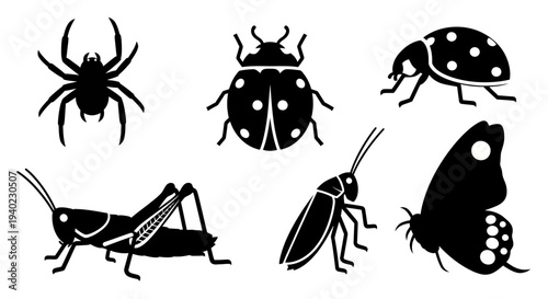 Insect Silhouettes Collection: Spider, Beetle, Ladybug, Grasshopper, Cockroach, Butterfly Icons