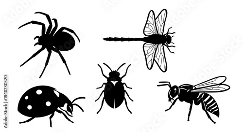 Insect Silhouettes Collection: Spider, Dragonfly, Ladybug, Beetle, Wasp Set
