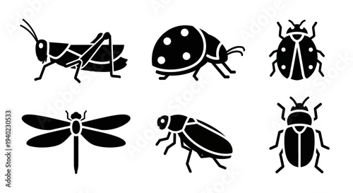 Insect Silhouettes Set: Grasshopper, Ladybugs, Dragonfly, and Beetles Icons