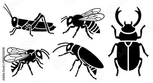 Insect Silhouettes Set: Various Bugs Icons for Graphic Design