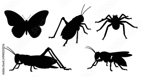 Insect Silhouettes Set Isolated on White: Butterfly, Grasshopper, Spider, Wasp