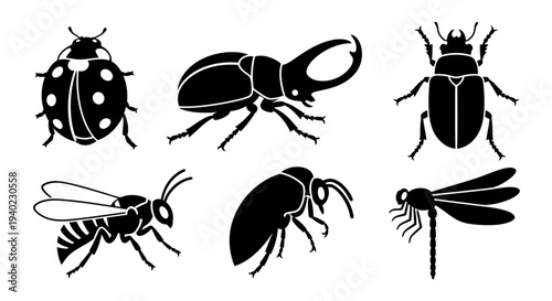 Insect Silhouettes Set: Ladybug, Beetle, Wasp, and Dragonfly Icons