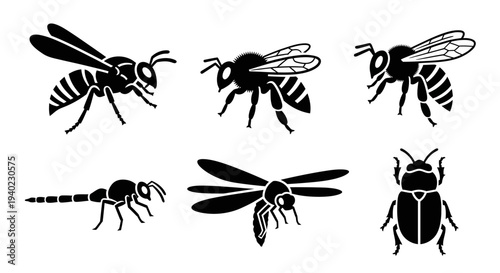 Insect Silhouettes Vector Set: Wasp, Bee, Ant, Dragonfly, Beetle Icons Collection