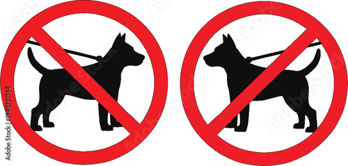 No dogs allowed sign with black dog silhouette on leash inside red prohibition circle symbol isolated on a white background.