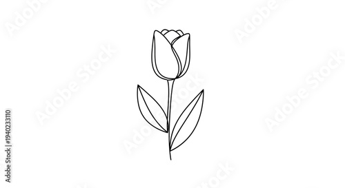 Simple Line Art Tulip Flower, Minimalist Botanical Design on Isolated White Background