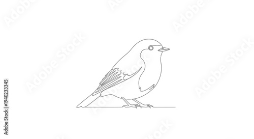 Small Perching Bird Standing Calmly on Isolated White Background