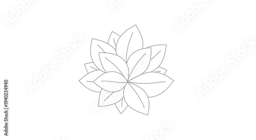 Symmetrical Circular Lotus Flower Bloom with Multiple Petals in Detailed Line Art, Isolated White Background