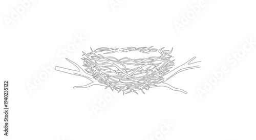 Empty Bird Nest Made of Twigs and Straw on a Branch on Isolated White Background