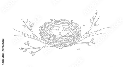 Bird Nest with Three Eggs on a Branch, Symbolizing New Life, on Isolated White Background