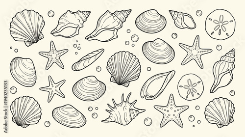 A collection of seashells and starfish illustrations in a simple line drawing style on a beige background with bubbles, featuring various ocean creatures and sea elements.