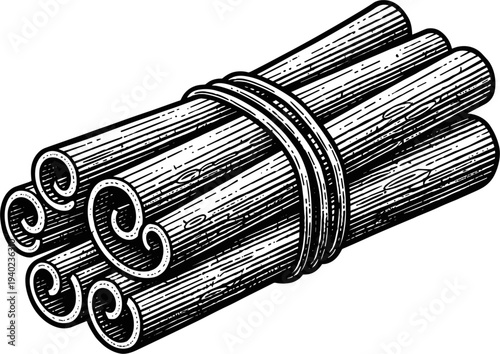 Bundle Of Cinnamon Sticks Tied Together With Twine On White Background Vintage Style Illustration
