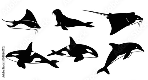 Marine Animals Silhouettes Set: Orca, Dolphin, Seal, and Rays - Ocean Wildlife Collection