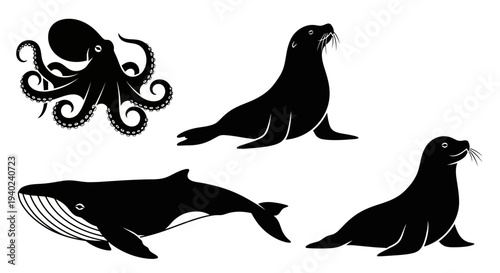 Marine Animals Silhouettes Set: Octopus, Whale, and Seals in Black and White Graphic Style
