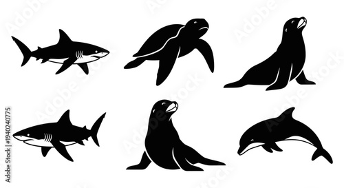 Marine Animals Silhouettes Set: Shark, Sea Turtle, Sea Lion, Dolphin Icons