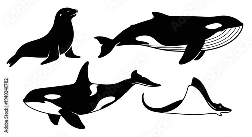 Marine Animals Silhouettes Set: Whale, Orca, Seal, and Manta Ray Illustration