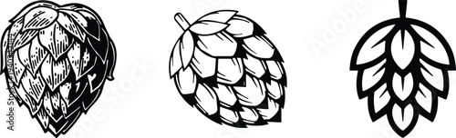 Hop cones illustration set, beer brewing ingredient icons, hand drawn hop flowers collection, craft brewery botanical vector design