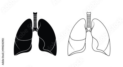 Anatomical illustration of human lungs in contrasting views silhouette