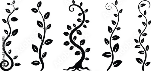 WebBlack vine silhouette collection of ivy branches, leaf climbing plant, curly floral elements, vector stalks for laser cut and engraving,