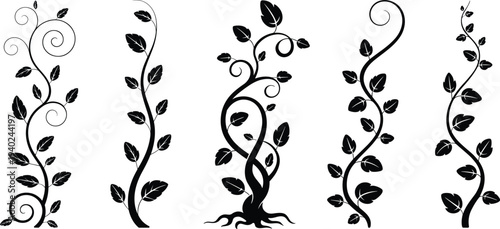 WebBlack vine silhouette collection of ivy branches, leaf climbing plant, curly floral elements, vector stalks for laser cut and engraving,