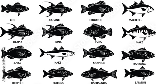 WebFish species silhouettes collection featuring cod, grouper, tuna, snapper, and salmon for seafood restaurant menus, fishing industry, and aquatic nature vector.