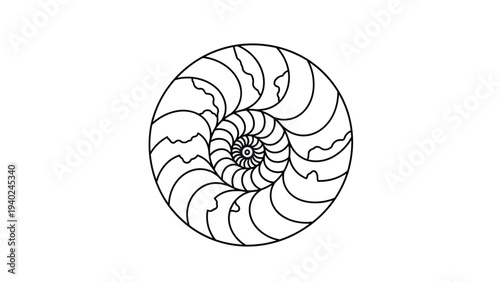 Intricate black and white spiral pattern illustration resembling a seashell or a geometric mandala with complex curving lines and shapes.