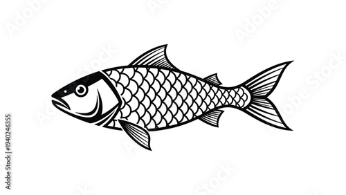 Detailed black and white engraving style illustration of a fish showing intricate scales and fin textures.