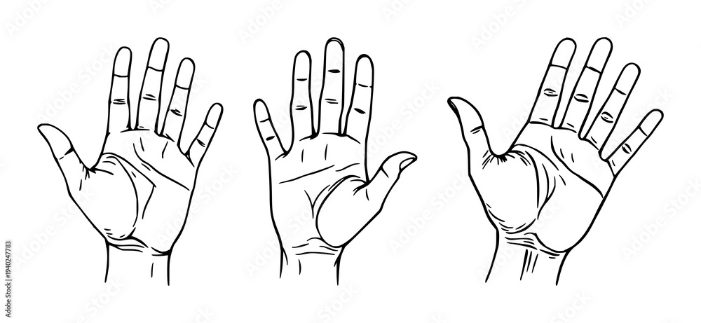 Fototapeta premium Black line art portrait of a palmistry hand with intricate lines, subtle shading on a crisp white background – perfect for fortune telling visuals.