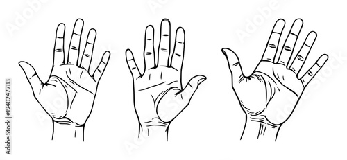 Black line art portrait of a palmistry hand with intricate lines, subtle shading on a crisp white background – perfect for fortune telling visuals.