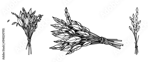 Minimalist Black Line Art Illustration of Dried White Sage Bundle on a Clean White Background, Ideal for Wellness and Spiritual Content