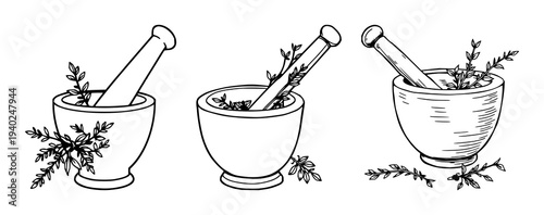 Precise black line art illustration of a mortar and pestle filled with dried herbs on white background, perfect for herbal medicine projects