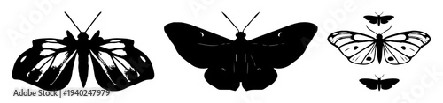 Black line art Luna moth silhouette on pure white background – elegant hand‑drawn moth outline perfect for nature, insect or wildlife designs