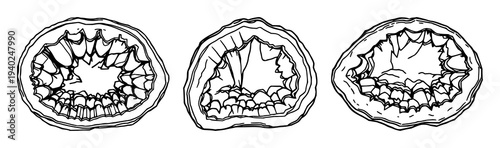 Black line art illustration of a cross‑sectioned amethyst geode on plain white background – detailed crystal structure graphic