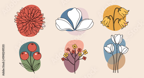 A collection of colorful floral illustrations featuring various flowers in modern vector style, perfect for home decor and branding