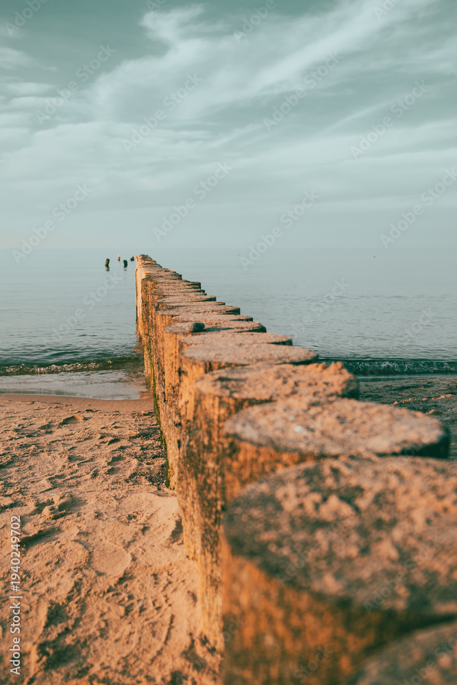 Fototapeta premium Row of wooden groynes sticking out of sandy beach leading to calm sea at sunset. Coastal landscape with breakwater poles. Minimalist nature view with horizon and peaceful atmosphere.