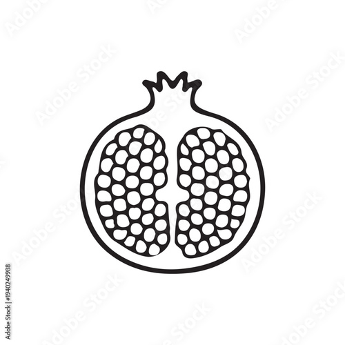 vector illustration of Pomegranate