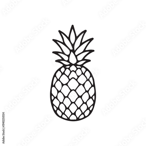 pineapple vector illustration