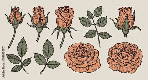 A collection of hand-drawn roses with leaves in modern outline vector style, perfect for floral design projects