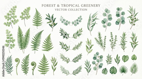leaf pattern
