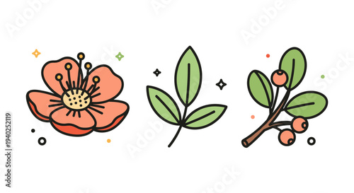 A collection of three floral and leaf designs in colorful outline vector style, perfect for nature-themed projects